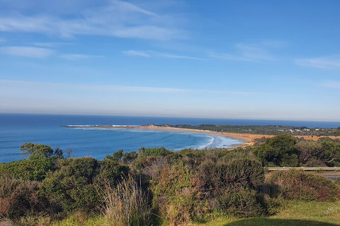 Private Great Ocean Road And Chocolaterie Tour With Tasting - Lismore Accommodation 5