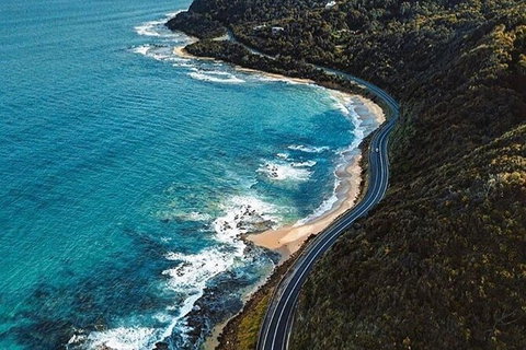 Private Great Ocean Road And Chocolaterie Tour With Tasting - Lismore Accommodation 6