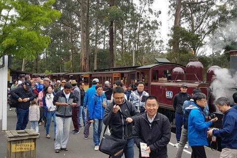 Day Tour Of Yarra Valley Puffing Billy And Rayners Orchard - Lismore Accommodation 3