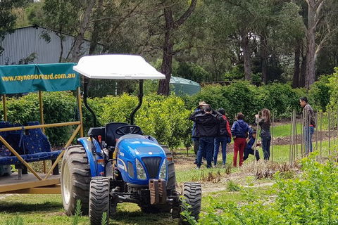 Day Tour Of Yarra Valley Puffing Billy And Rayners Orchard - Lismore Accommodation 10