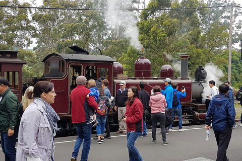 Day Tour Of Yarra Valley Puffing Billy And Rayners Orchard - Lismore Accommodation 4