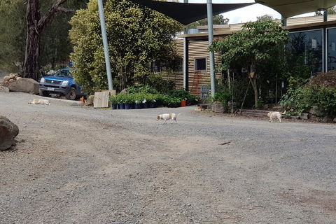 Day Tour Of Yarra Valley Puffing Billy And Rayners Orchard - Lismore Accommodation 26