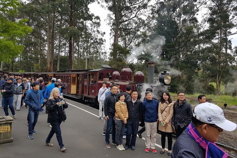 Day Tour Of Yarra Valley Puffing Billy And Rayners Orchard - Lismore Accommodation 9