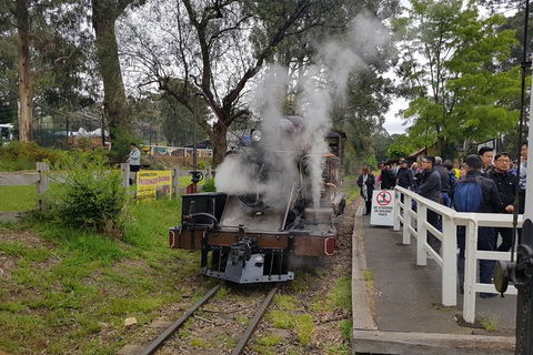 Day Tour Of Yarra Valley Puffing Billy And Rayners Orchard - Lismore Accommodation 43