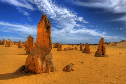 Pinnacles Desert, New Norcia And Wildflowers Day Tour From Perth - Lismore Accommodation 4