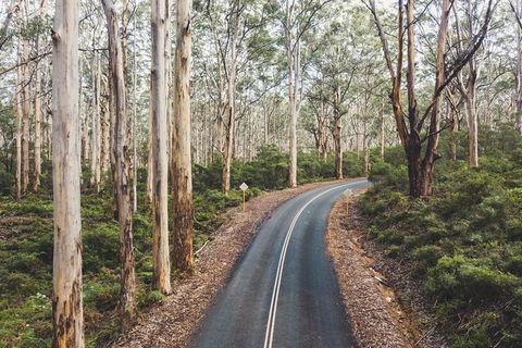 All Inclusive Surf Camp In Margaret River Region - Lismore Accommodation 2