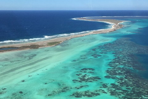 Pink Lake + Abrolhos Islands Nature Tour - Lismore Accommodation 1