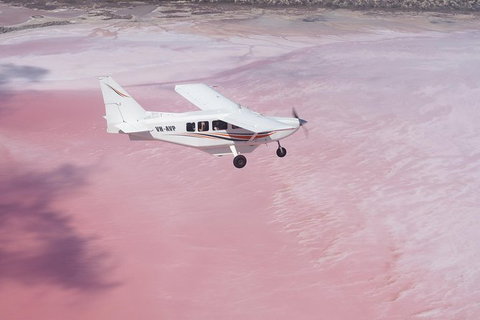 Pink Lake + Abrolhos Islands Nature Tour - Lismore Accommodation 3