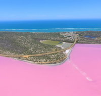 Pink Lake  Abrolhos Islands Nature Tour - Lismore Accommodation