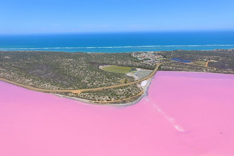 Pink Lake + Abrolhos Islands Nature Tour - Lismore Accommodation 0