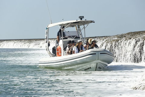 Cygnet Bay Explorer - Lismore Accommodation 8