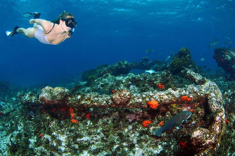 Abrolhos Islands 5 Day Tours - Lismore Accommodation 3
