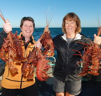 Abrolhos Islands 5 Day Tours - Lismore Accommodation