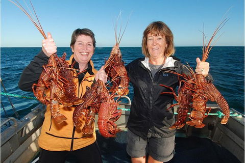 Abrolhos Islands 5 Day Tours - Lismore Accommodation 0