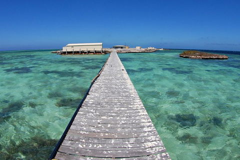 Abrolhos Islands 5 Day Tours - Lismore Accommodation 4