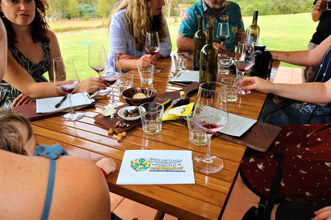 The Favourite 4 Experience - Lismore Accommodation 2