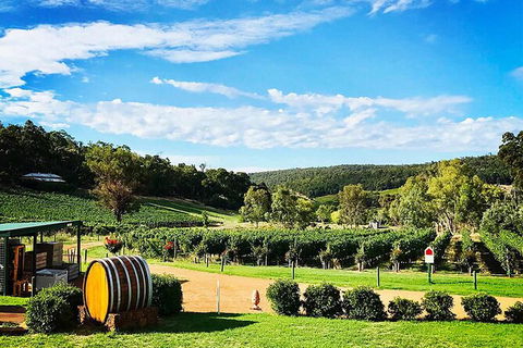 Bickley Valley Wine & Cider Tour - Premium Small Group Tour - Lismore Accommodation 0