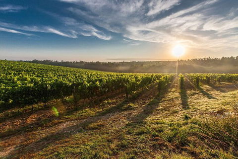 Perth To Margaret River Wine Tour - 2 Day Premium Boutique Wine Tour Experience - Lismore Accommodation 0