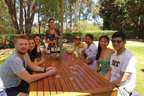 Full-Day Gourmet Wine Tour With Pick Up And Lunch - Lismore Accommodation 5