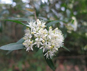 Barringella NSW Lismore Accommodation