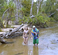 Tjuwaliyn / Douglas Hot Springs Park - Lismore Accommodation