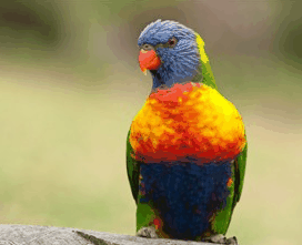 Booderee National Park - Lismore Accommodation 1