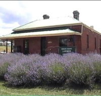 Lavender House in Railway Park - Lismore Accommodation