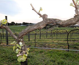 Drysdale VIC Lismore Accommodation