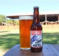 Feral Brewing Company - Lismore Accommodation