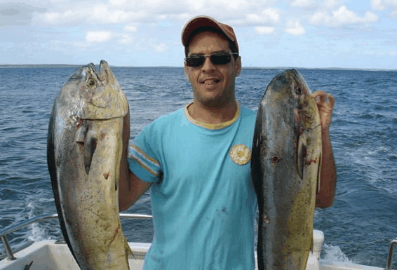 Jervis Bay Fishing and Charters - Lismore Accommodation