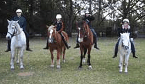 Valhalla Horse Riding - Lismore Accommodation 1