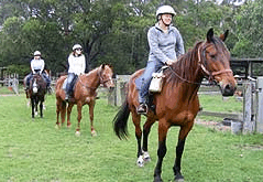 Valhalla Horse Riding - Lismore Accommodation 2