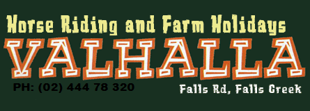 Valhalla Horse Riding - Lismore Accommodation 4