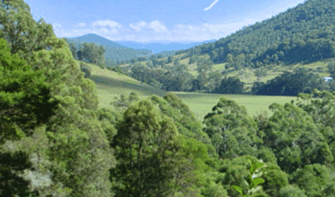 Blue Poles Gallery - Lismore Accommodation 1