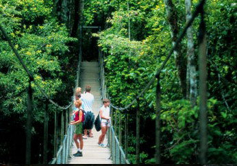 BTS Tours Pty Ltd - Lismore Accommodation 4