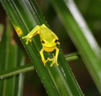 Daintree River Cruise Centre - Lismore Accommodation