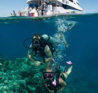Down Under Cruise and Dive - Lismore Accommodation