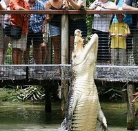Hartley's Crocodile Adventures - Lismore Accommodation