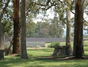 Stanthorpe QLD Lismore Accommodation