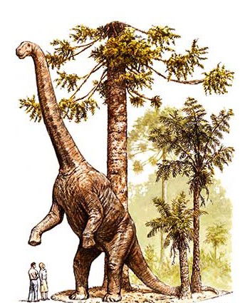 Australian Age Of Dinosaurs - Lismore Accommodation 2
