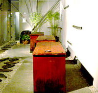 Koi - Lismore Accommodation