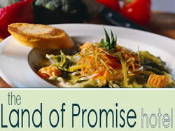 Land Of Promise Hotel - Lismore Accommodation 0