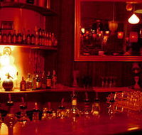 The Night Cat - Lismore Accommodation