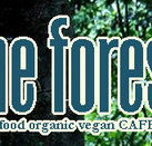 Forest Cafe  Bar - Lismore Accommodation