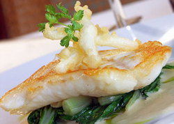 Rat N Parrot British Pub - Lismore Accommodation 1