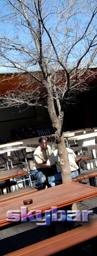 Alma Tavern - Lismore Accommodation 2