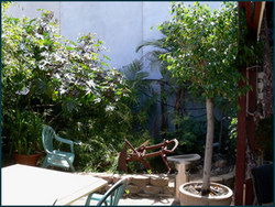 Land Of Promise Hotel - Lismore Accommodation 3