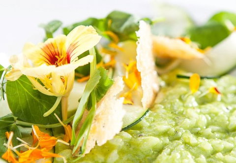 The Villager - Lismore Accommodation 2