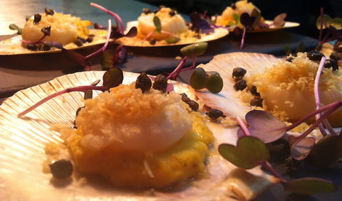 Shangri-La Gardens - Lismore Accommodation 1