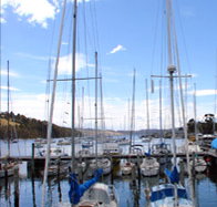 Oyster Cove Inn - Lismore Accommodation